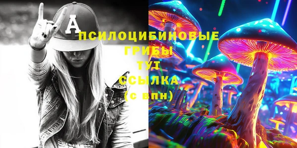 марки lsd Белокуриха