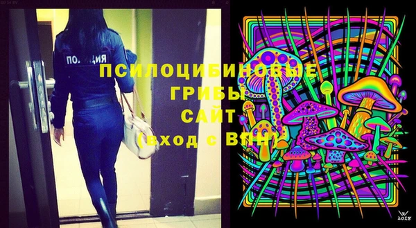 марки lsd Белокуриха