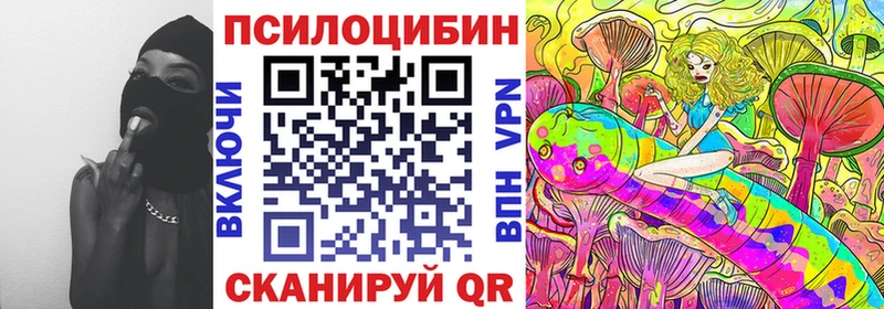 купить наркотики сайты  Динская  Галлюциногенные грибы мухоморы 